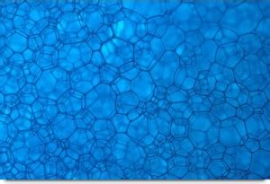 The Blue Sellular PAttern Paper Print - Abstract posters in India - Buy ...