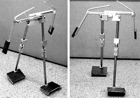 Walking Robot Dynamic 的图像结果