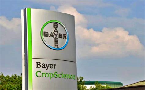 Bayer CropScience sees revenue and profit dip in Q1 amid weather and ...