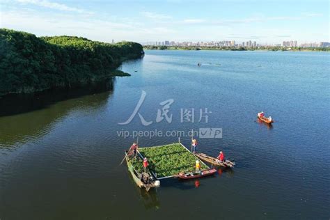 浙江长兴：巡河护水 美化家园-人民图片网