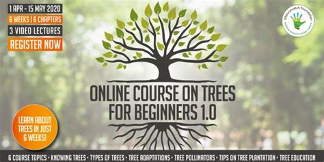 Trees for Beginners