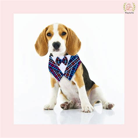 Shop Midnight Mosaic Tuxedo Bandana for Dogs at ₹379 – Wrapinfur