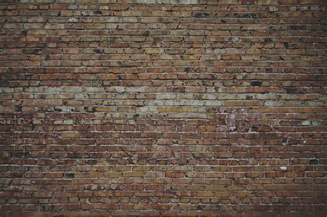 Image result for Time Machine Song