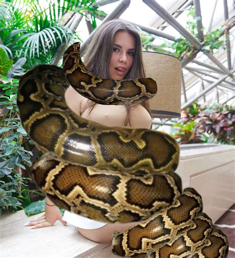 Image result for Python Wrapped around Girl YouTube