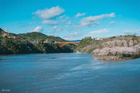 Takato Castle Park and Ena Gorge Cherry Blossom Viewing Day Bus Tour ...