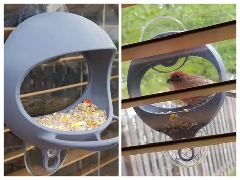 3D-Printed Bird Feeder. The same two finches visit every day ...