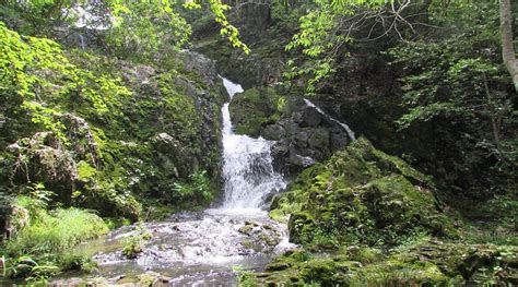 LOG CABIN FREERIDE (Kato) - Campground Reviews & Photos - Tripadvisor