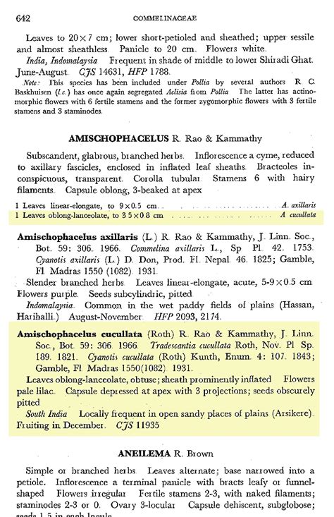 Herbarium JCB