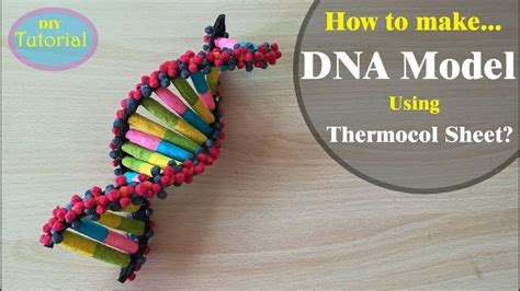 Image result for How to Make DNA Model Using Clay