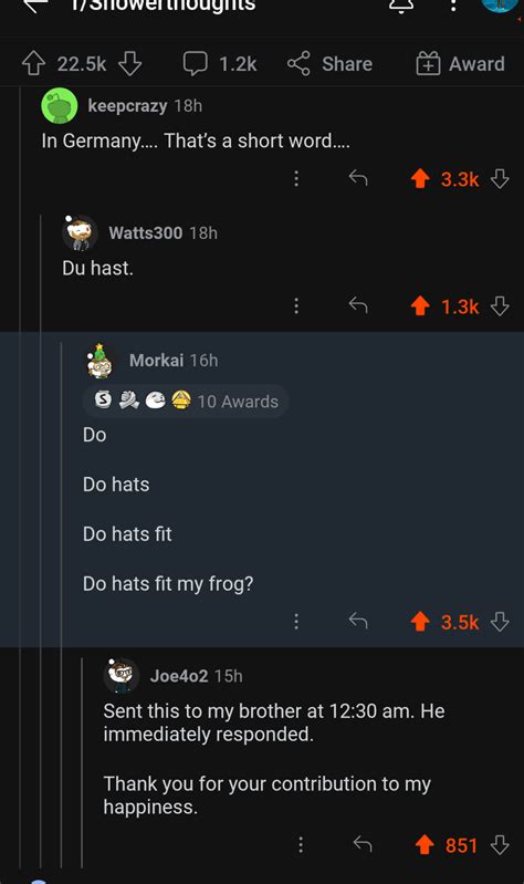 Do, do hats, do hats fit, do hats fit my frog? : r/BrandNewSentence