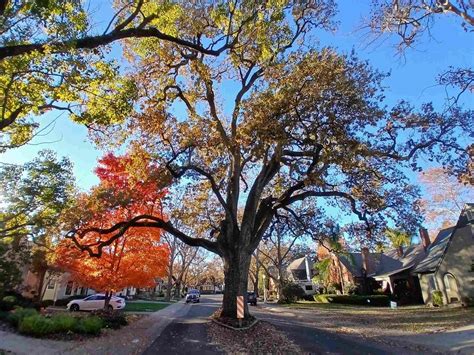 Curtis Park Find-Your-Way 5K, 10K Sacramento, Sierra 2 Center ...