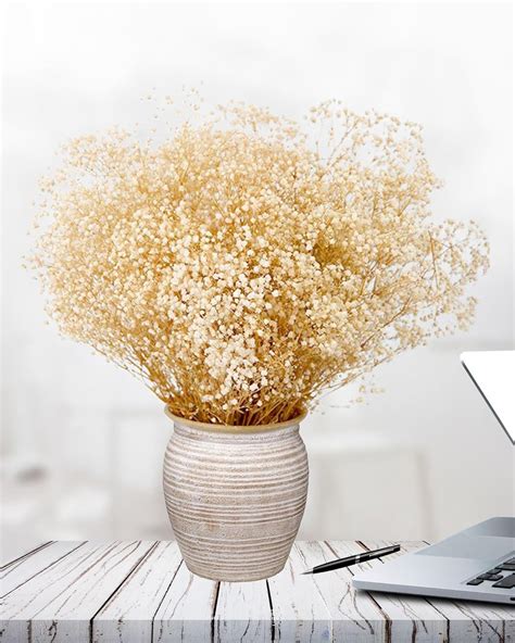 Dried Babys Breath Flowers Bulk - 17" Ivory White Dried Flower Bouquet ...