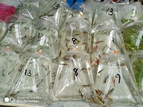 Jalan Pasar Market (Kuala Lumpur) - 2020 What to Know Before You Go ...