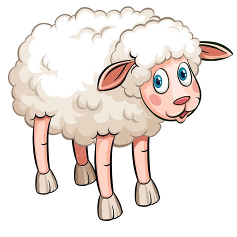 Spanish Words For Black Sheep at Charley Smith blog