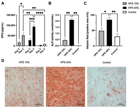 Hypoxia Preconditioned Serum (HPS) Promotes Osteoblast Proliferation ...