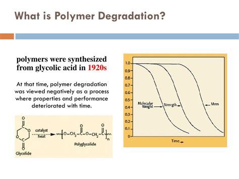 Image result for Biodegradable Polymer Structure