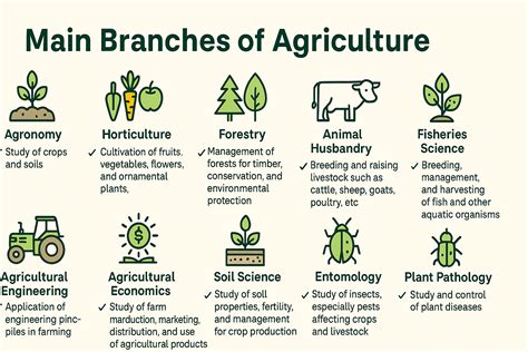 Agriculture In Tamil Meaning