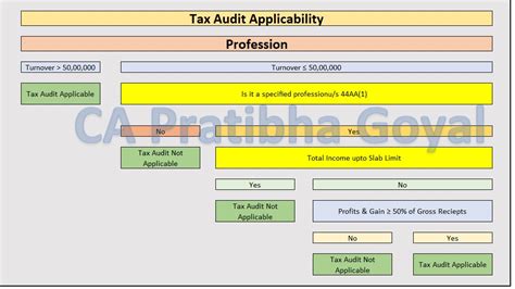 Common Mistakes Found in Tax Audit Report