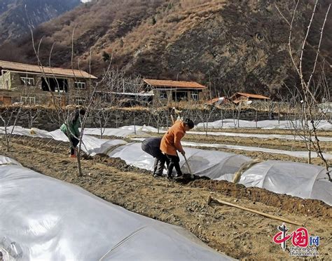 阿坝茂县：人勤春来早 田间耕种忙 - 中国网