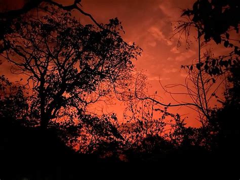 CHEBERA SAFARI LODGE (Jimma) - Campground Reviews & Photos - Tripadvisor