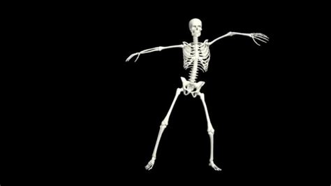 Image result for Skeleton Dance Animation