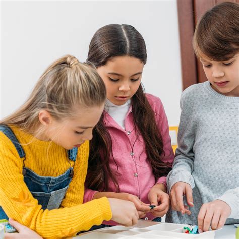 Stem Science Fair Projects 的图像结果