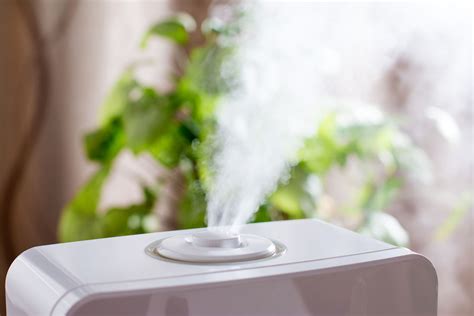 Humidifier 的图像结果