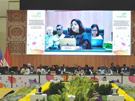 G20 Delegates in Second Environment Climate Sustainability Working ...