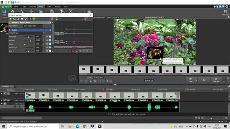 Image result for VideoPad Tutorial How to Make Effects