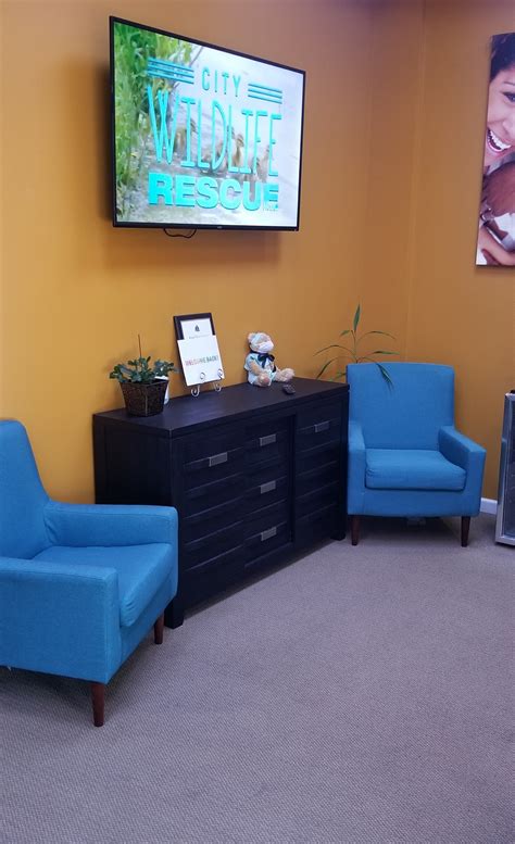 Top Rated Dentist Near Me in Bakersfield, CA 93312, Bright Dental Care