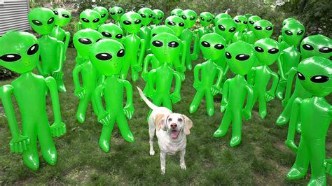 Image result for Alien Pranks Videos