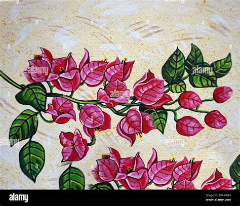 Bougainvillea Flower Drawing