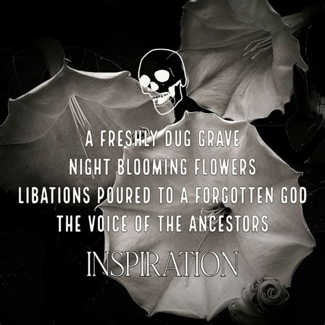 Fields of Asphodel by Venus Invictus | Apokrypha.co