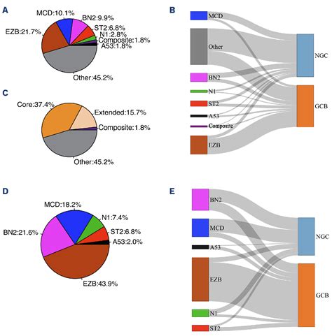 Image result for Lymphgen Algorithm