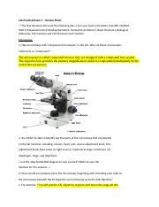 Image result for Sample Lab Practical Exam