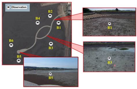 Development of a Virtual Wetland Ecological System Using VR 360 ...