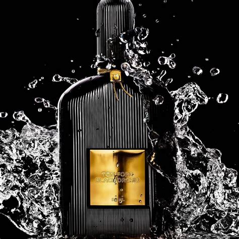 Tom Ford Black Orchid Eau de Parfum for Unisex – Perfume Network India