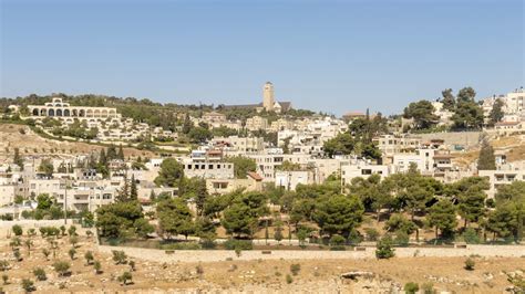 The climate of Palestine and the best time to visit