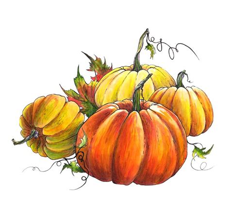 fall pumpkin drawings