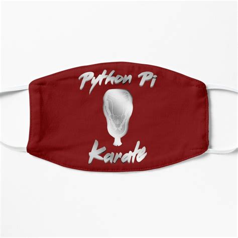 Python Mask Programming 的图像结果