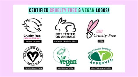 A Complete Guide on Cruelty-Free v/s Vegan Personal Care Cosmetics and ...