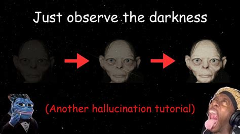 Image result for Hallucinations Simulator