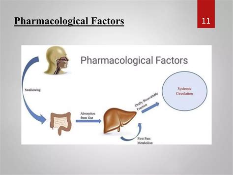 Image result for Bioavailability Factors