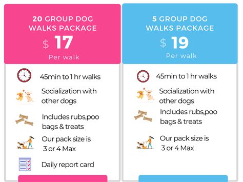 Affordable group walks at $17 per walk - Hey Petsie Dog walking and Pet ...