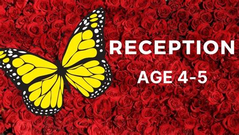 Image result for Maths Lessons for Reception