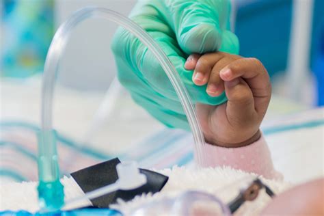 IVF Procedure Explained 的图像结果