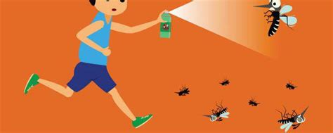 蚊子的发育过程 蚊子发育的四个阶段_知秀网