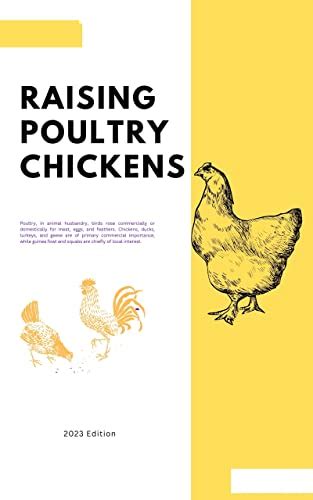 Raising Poultry Chickens 2023-2024: Step-by-Step Guide to Raising floor ...