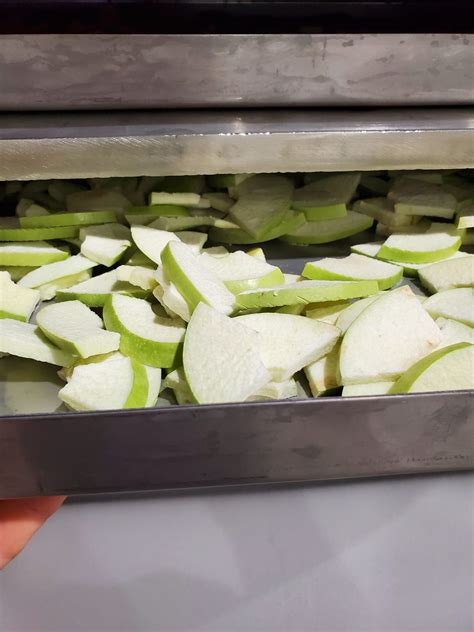 Freeze Dried Apple Slices – Boundless Food Company