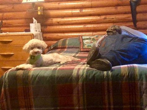 MONO SIERRA LODGE (Crowley Lake) - Lodging Reviews & Photos - Tripadvisor